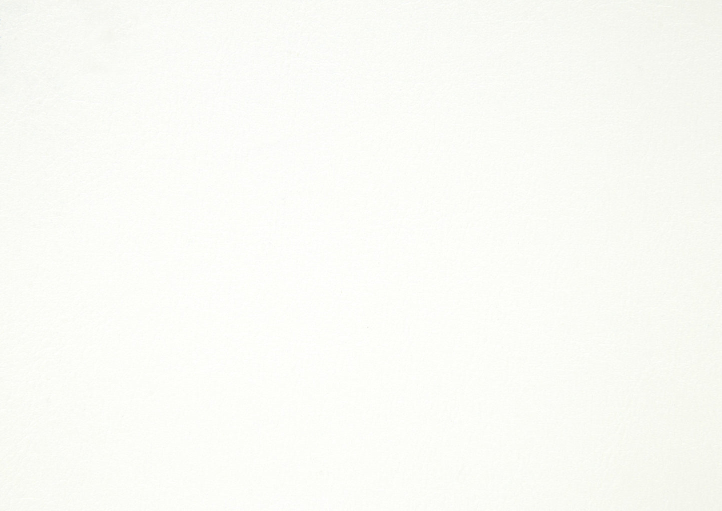 Seabright White Full Bed