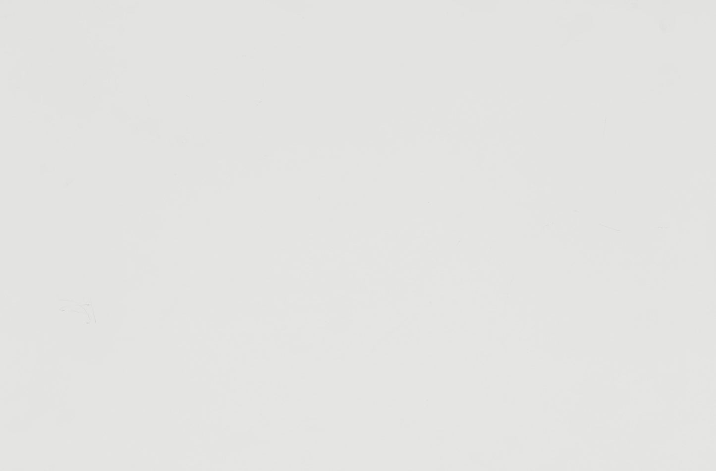 Blaire Farm White Mirror (Mirror Only)