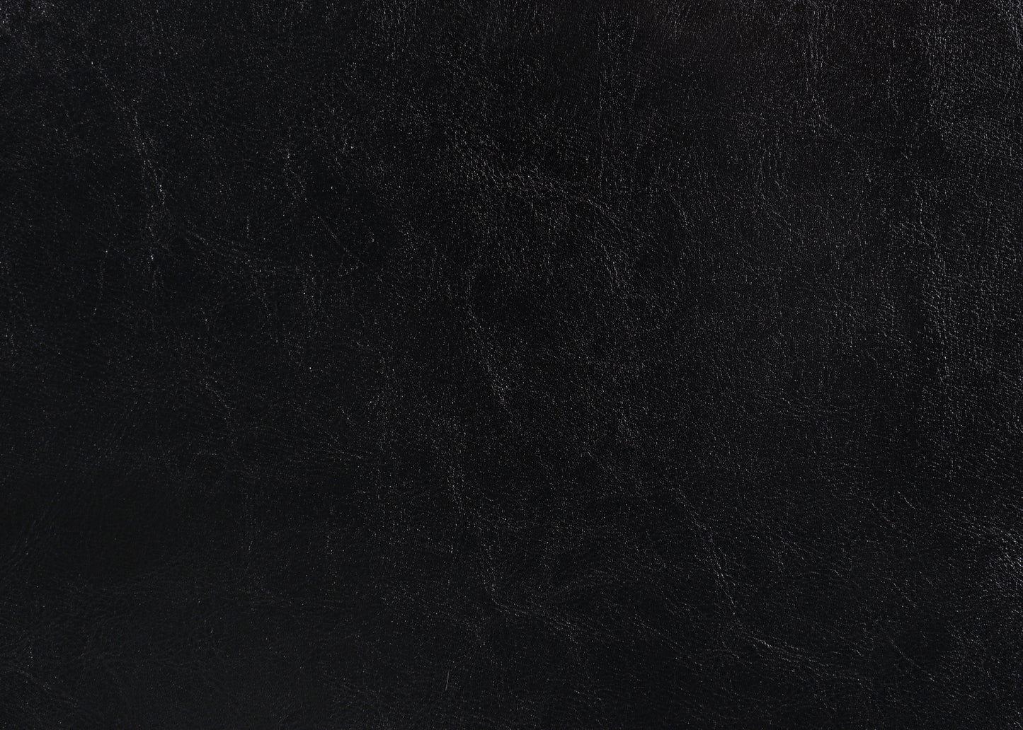 Erin Black PU Leather Queen Upholstered Bed