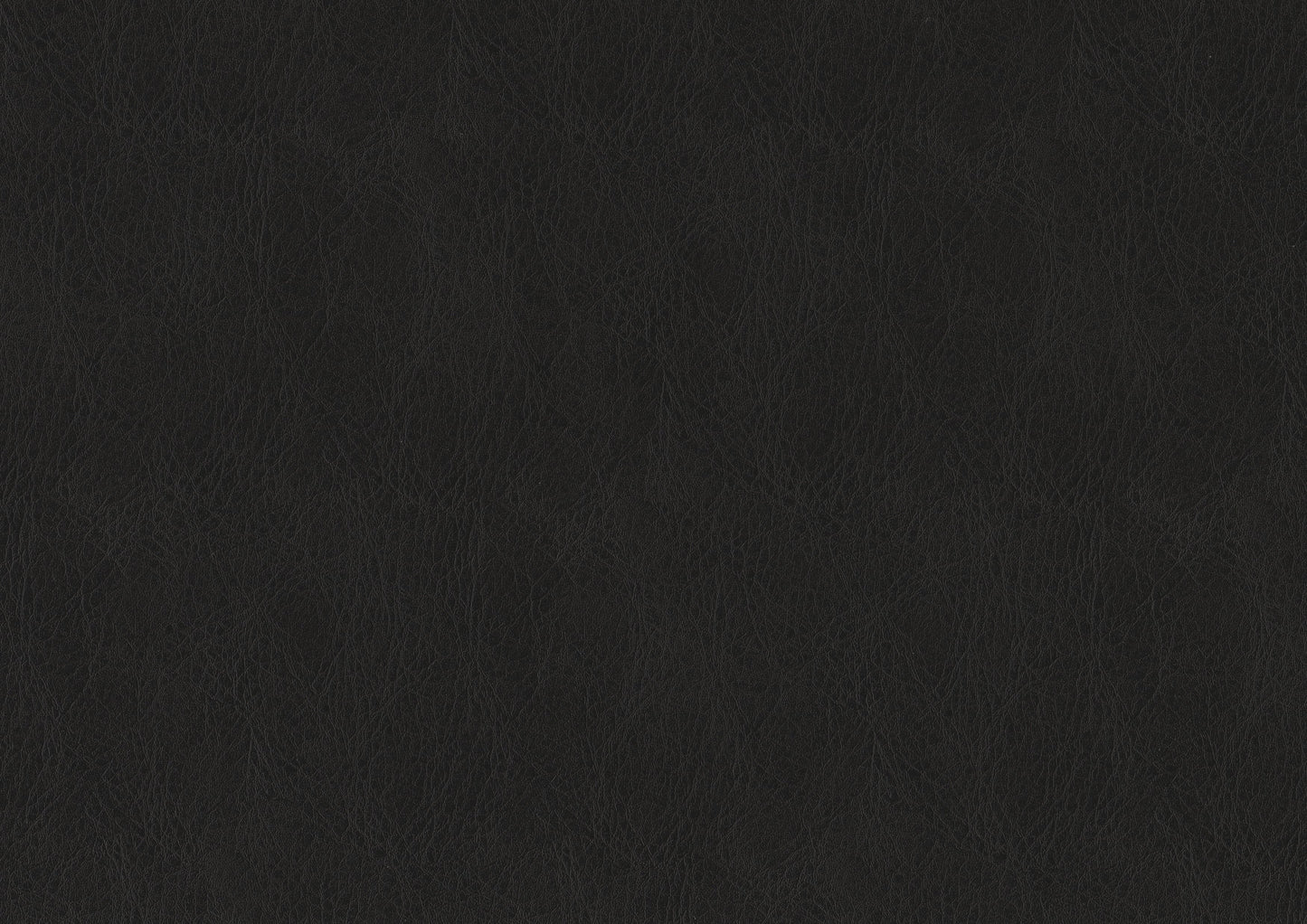 Bergen Dark Oak Arm Chair, Set of 2