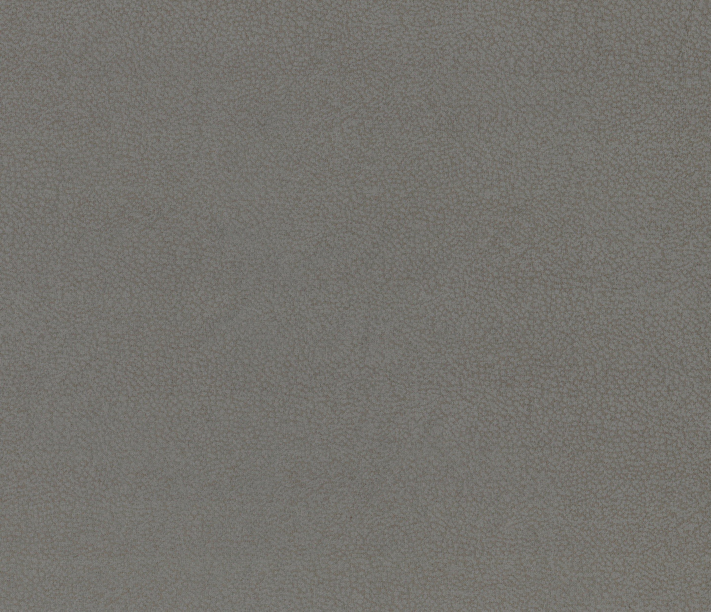 Camryn Gray Reclining Chair