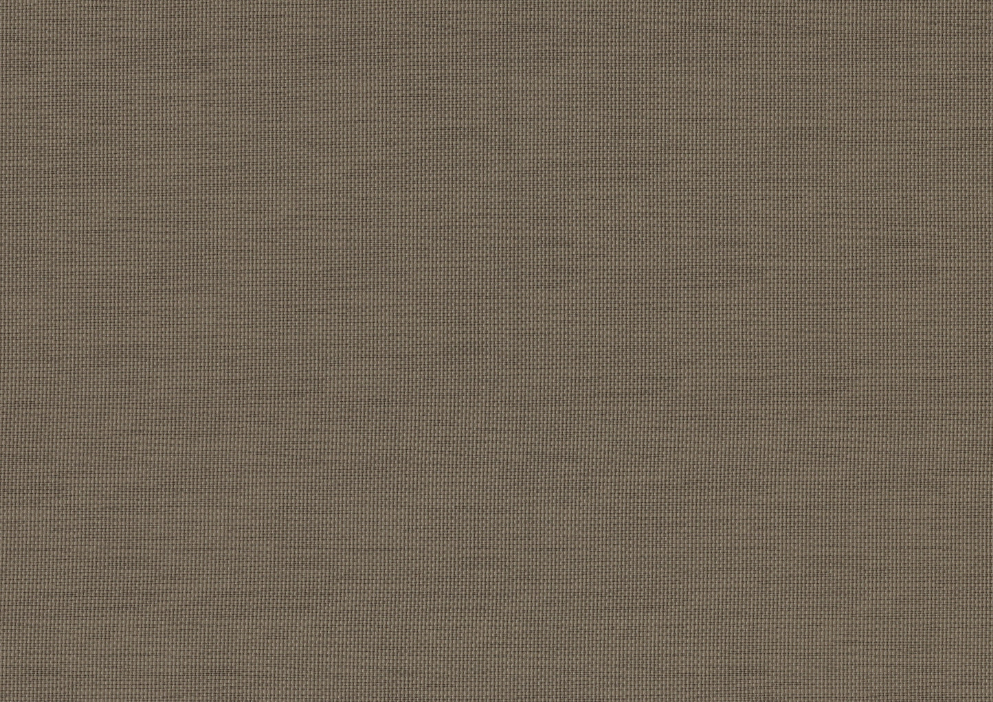 Ever Champagne Queen Mirrored Upholstered Panel Bed