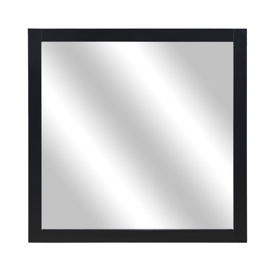 Seabright Black Mirror (Mirror Only)