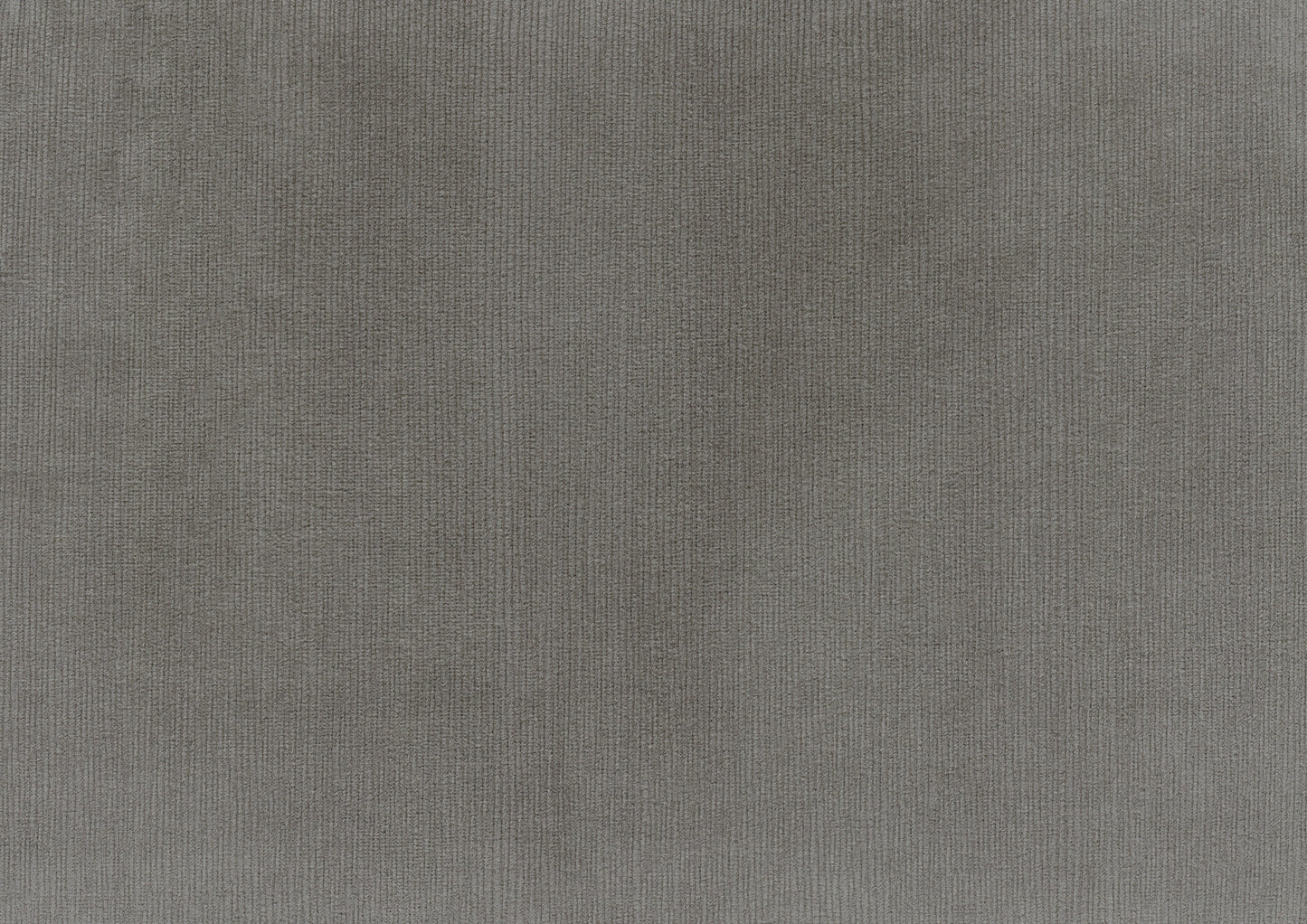 Garrell Brownish Gray Velvet Lift Top Storage Bench with Pull-out Bed