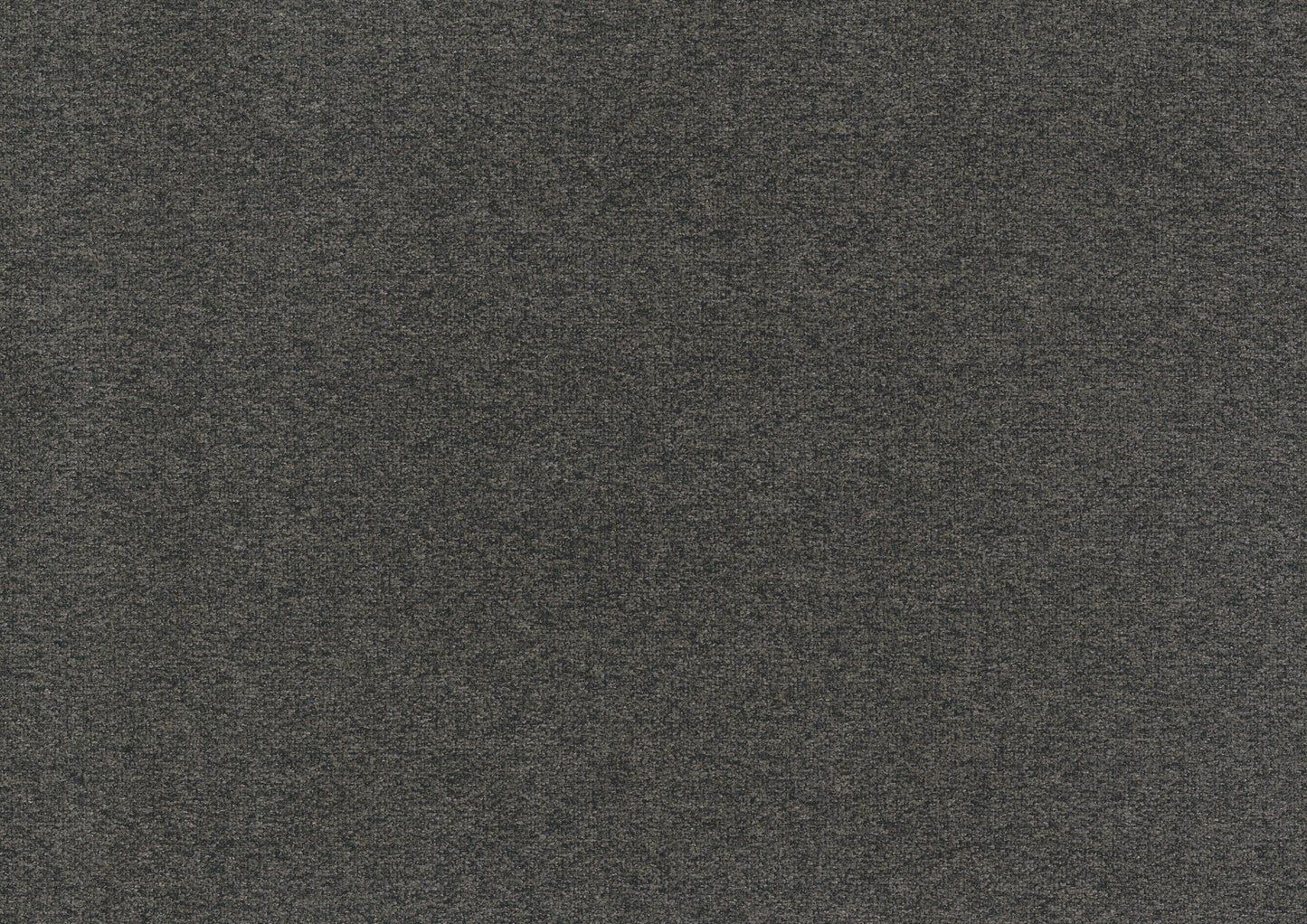 Labelle Gray Twin Daybed with Trundle