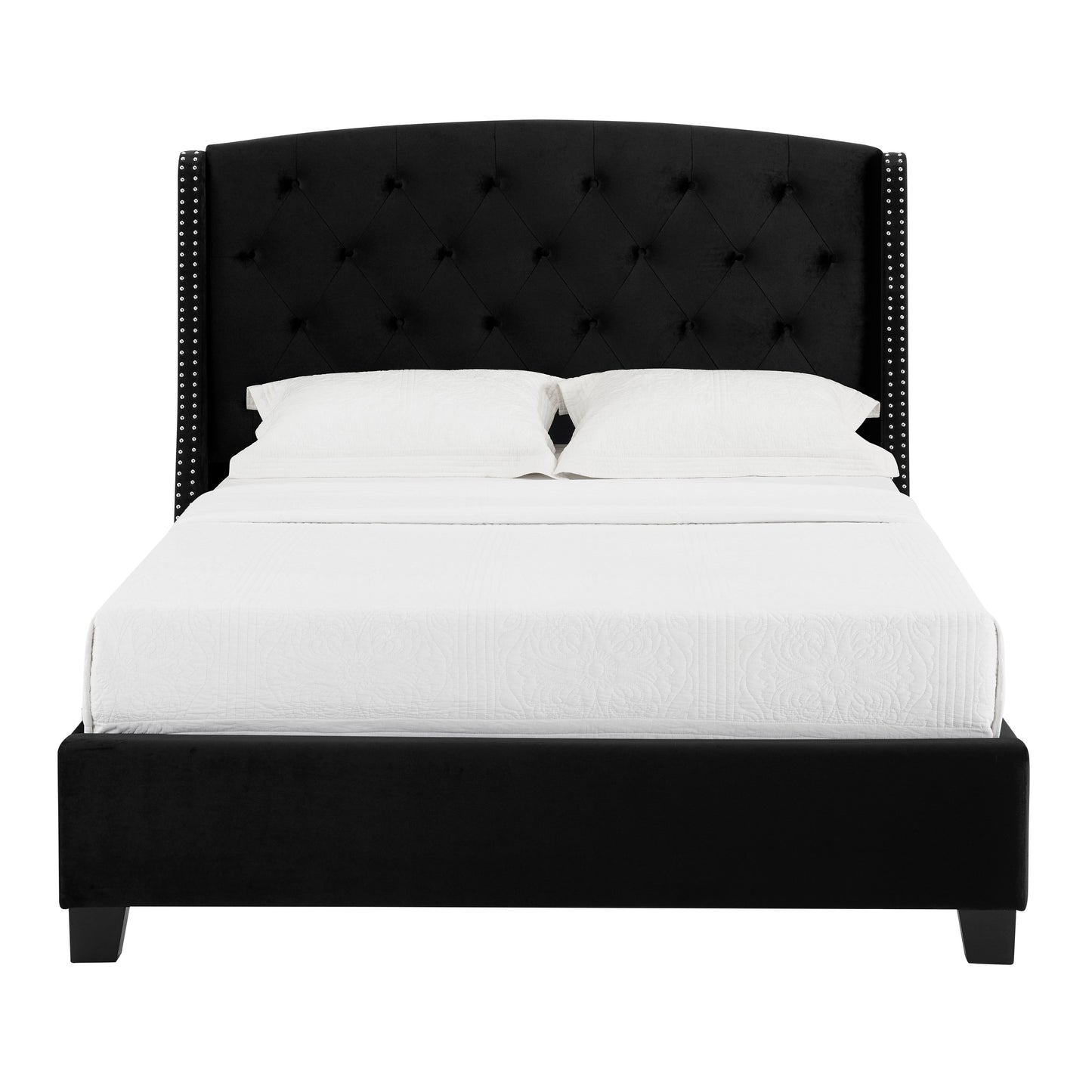 Eva Black Velvet King Upholstered Bed
