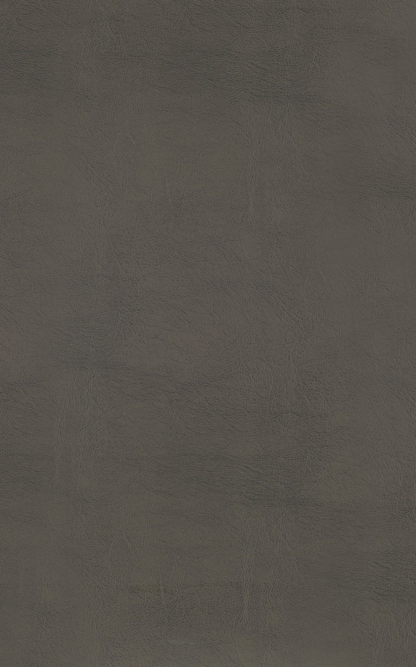 Ordway Gray/Brown Dining Stool, Gray