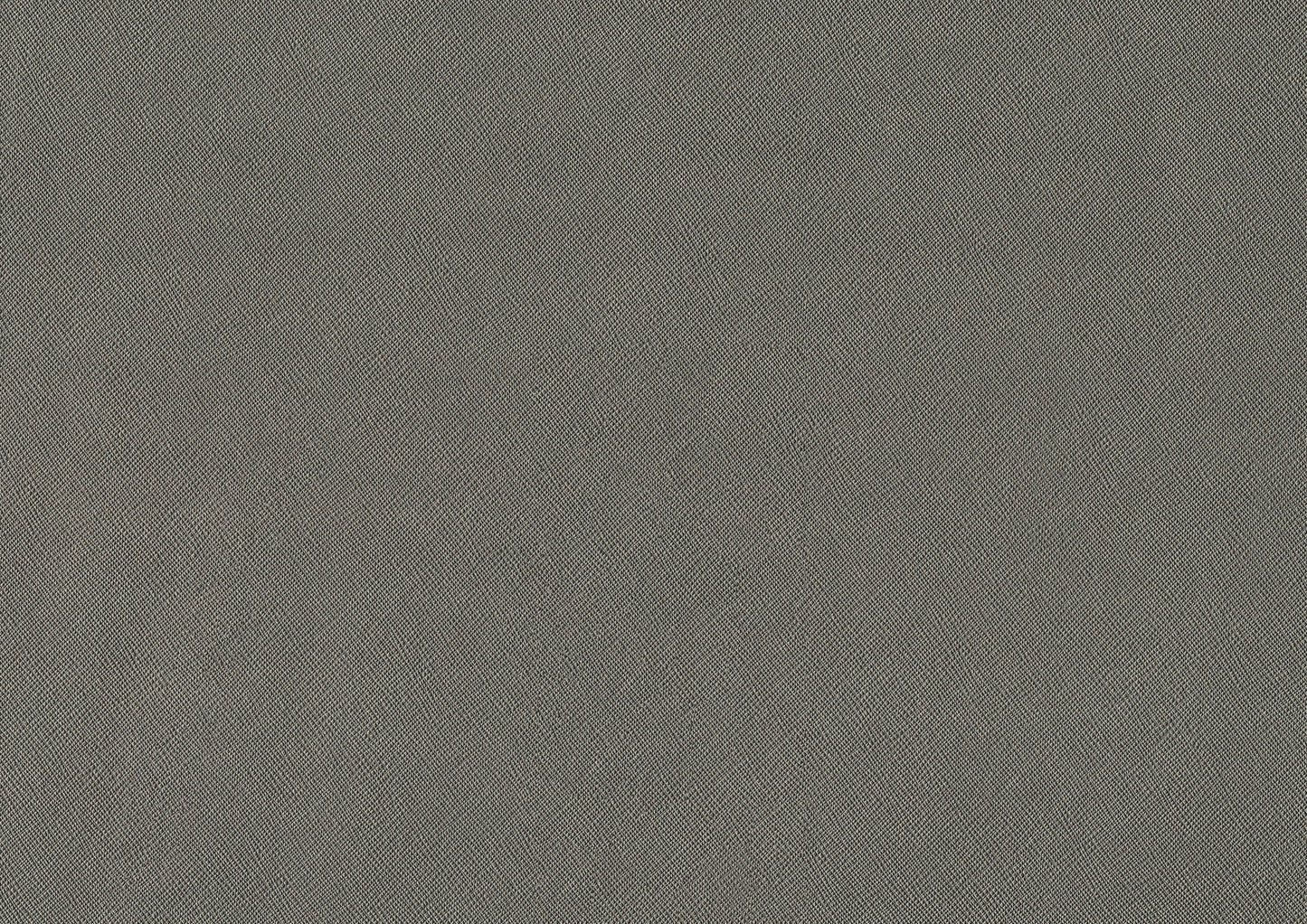 Juliette Champagne Side Chair, Set of 2