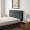 Dillon Velvet Platform Bed Queen / Teal
